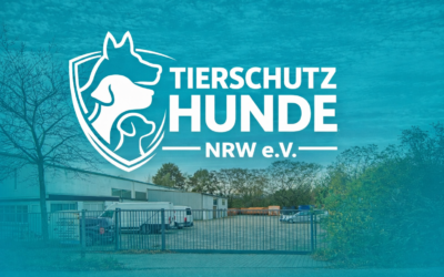 Vereinssitz & Ankunftsort